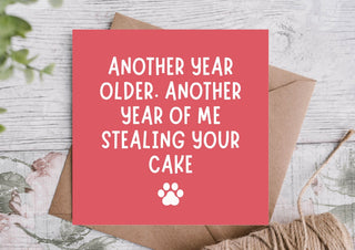 From The Dog Birthday Card – Another Year, Another Cake Stolen
