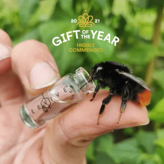 The Original Bee Revival Kit – Gold Edition